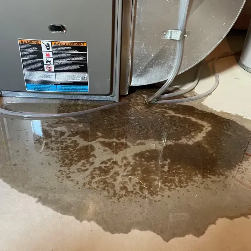 Appliance Leak Cleanup in Fairfield County, SC